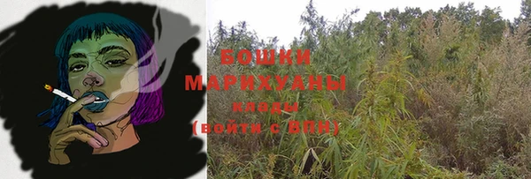 индика Саяногорск