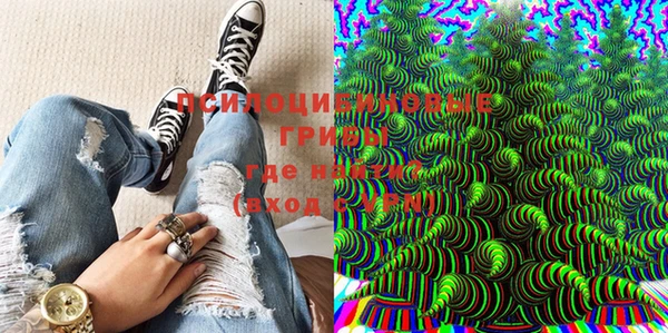 индика Саяногорск